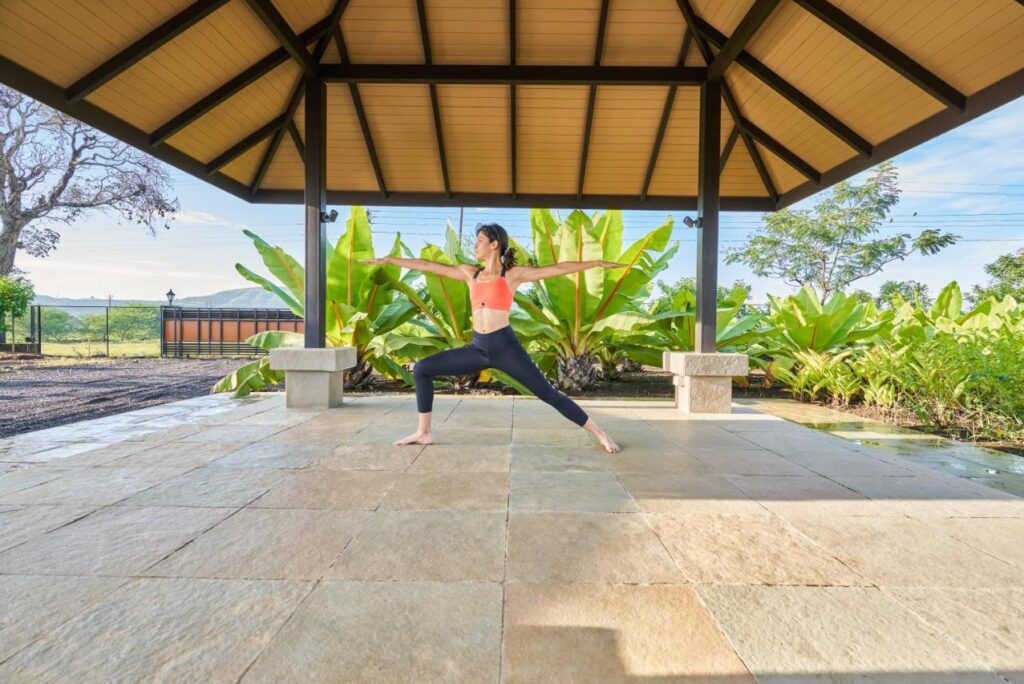 Viveda Wellness: Pioneering the Path to Holistic Well-Being